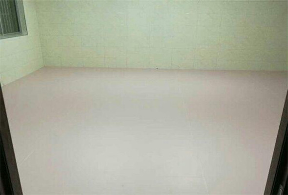 舞蹈地膠 舞蹈地膠