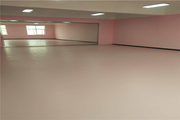 舞蹈地膠 舞蹈地膠