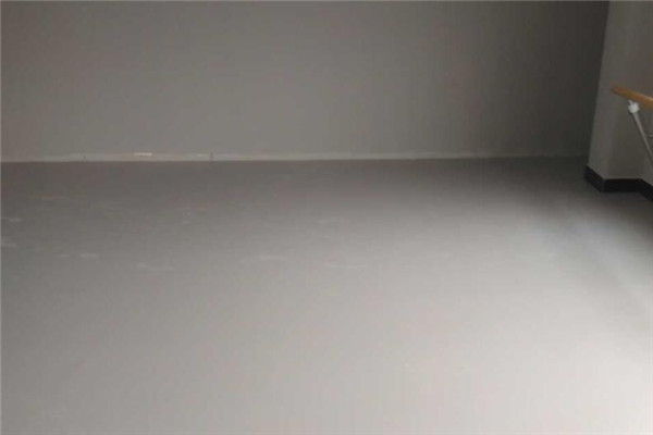 舞蹈地膠 舞蹈地膠