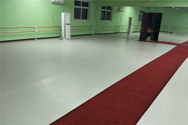 舞蹈地膠 舞蹈地膠