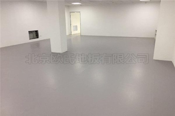 舞蹈地膠 舞蹈地膠